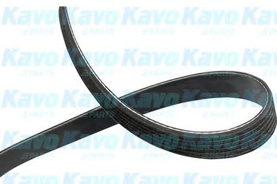 V-Ribbed Belts KAVO PARTS купить