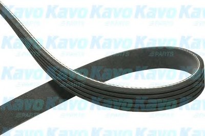 V-Ribbed Belts KAVO PARTS купить