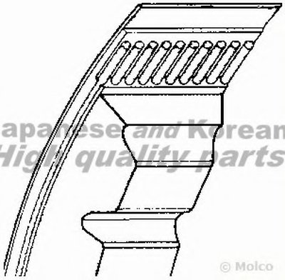 V-Ribbed Belts ASHUKI купить