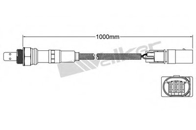 Лямда-зонд WALKER PRODUCTS купить