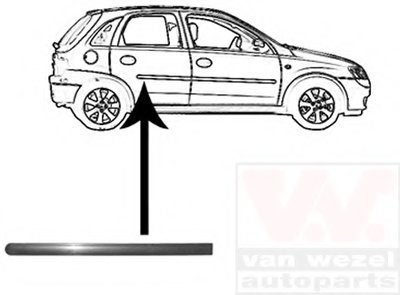 Облицовка / защитная накладка, дверь VAN WEZEL купить