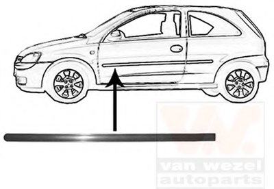 Облицовка / защитная накладка, дверь VAN WEZEL купить