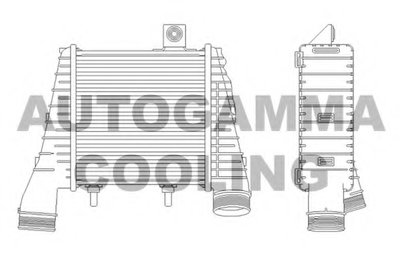 Интеркулер AUTOGAMMA купить