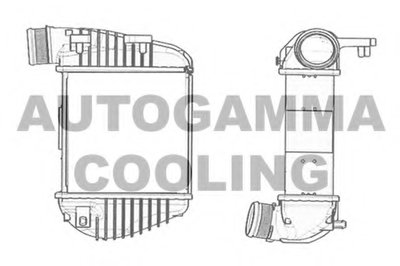 Интеркулер AUTOGAMMA купить