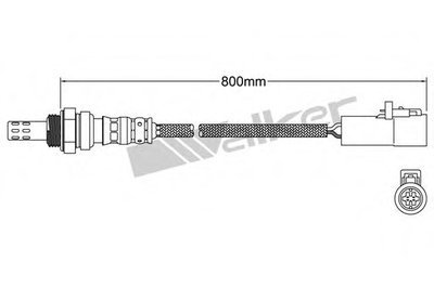 Лямда-зонд WALKER PRODUCTS купить