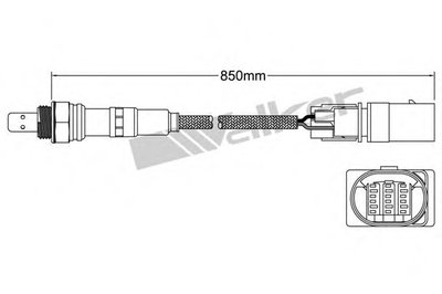 Лямда-зонд WALKER PRODUCTS купить