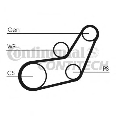 Поликлиновой ременный комплект CONTITECH купить