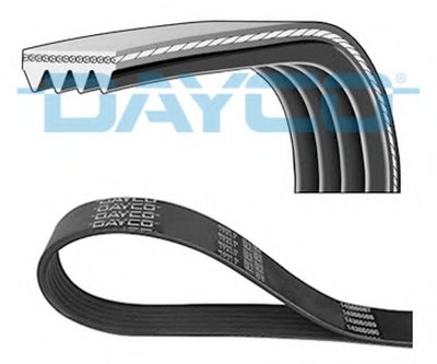 V-Ribbed Belts DAYCO купить