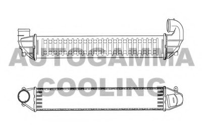 Интеркулер AUTOGAMMA купить