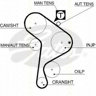 Ремень ГРМ TRISCAN купить