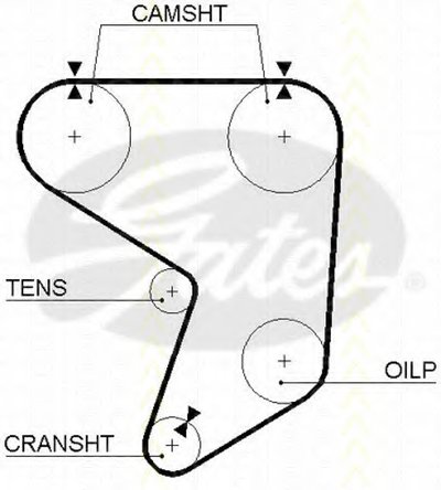 Ремень ГРМ TRISCAN купить