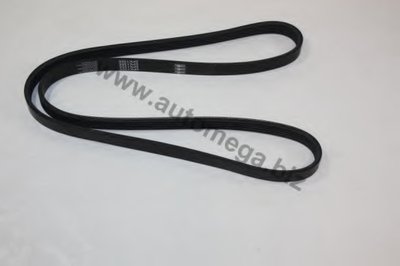 V-Ribbed Belts AutoMega Premium AUTOMEGA купить