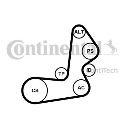 Поликлиновой ременный комплект CONTITECH купить