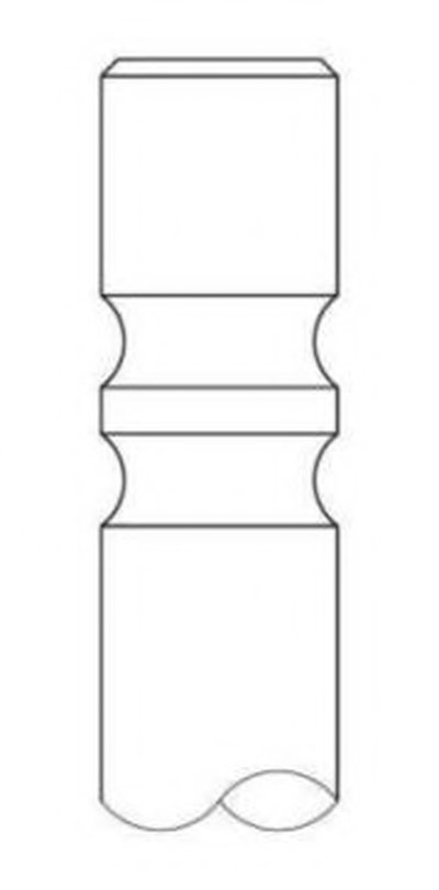 Выпускной клапан INTERVALVES купить