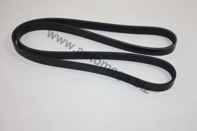 V-Ribbed Belts AutoMega Premium AUTOMEGA купить