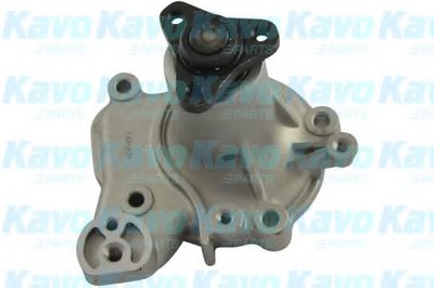 Водяной насос KAVO PARTS купить